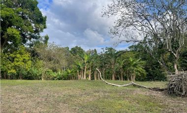 SE VENDE TERRENO PLANO EN CHILIBRE DE 5200M SOBRE CALLE
