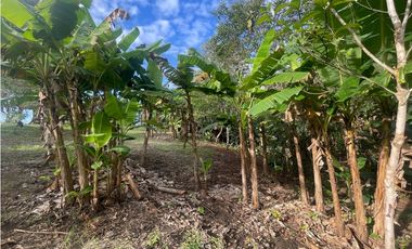 SE VENDE TERRENO PLANO EN CHILIBRE DE 5200M SOBRE CALLE