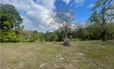 SE VENDE TERRENO PLANO EN CHILIBRE DE 5200M SOBRE CALLE
