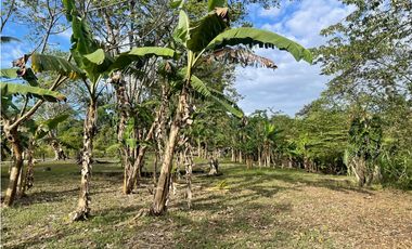 SE VENDE TERRENO PLANO EN CHILIBRE DE 5200M SOBRE CALLE