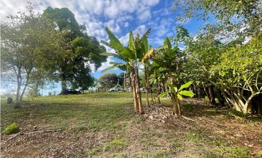SE VENDE TERRENO PLANO EN CHILIBRE DE 5200M SOBRE CALLE