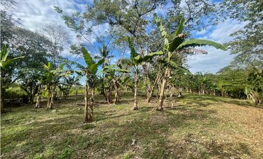 SE VENDE TERRENO PLANO EN CHILIBRE DE 5200M SOBRE CALLE