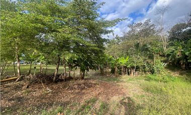 SE VENDE TERRENO PLANO EN CHILIBRE DE 5200M SOBRE CALLE