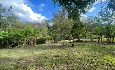 SE VENDE TERRENO PLANO EN CHILIBRE DE 5200M SOBRE CALLE