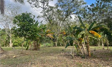 SE VENDE TERRENO PLANO EN CHILIBRE DE 5200M SOBRE CALLE