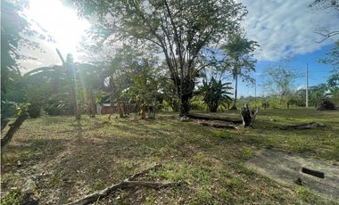SE VENDE TERRENO PLANO EN CHILIBRE DE 5200M SOBRE CALLE