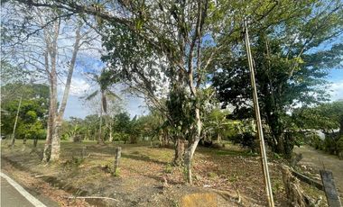 SE VENDE TERRENO PLANO EN CHILIBRE DE 5200M SOBRE CALLE