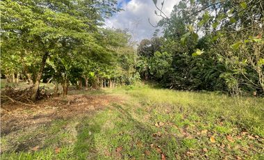 SE VENDE TERRENO PLANO EN CHILIBRE DE 5200M SOBRE CALLE