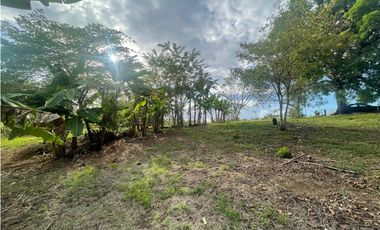 SE VENDE TERRENO PLANO EN CHILIBRE DE 5200M SOBRE CALLE