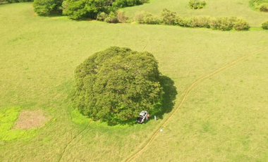 SE VENDE TERRENO TITULADO DE 13 HECTREA EN PARITA DE HERRERA