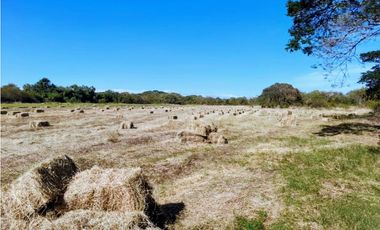 SE VENDE FINCA TITULADA IDEAL PARA GANADERA EN PARITA DE HERRERA
