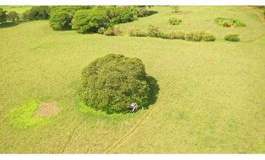 SE VENDE FINCA TITULADA IDEAL PARA GANADERA EN PARITA DE HERRERA