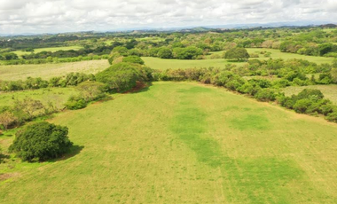 SE VENDE FINCA TITULADA IDEAL PARA GANADERA EN PARITA DE HERRERA