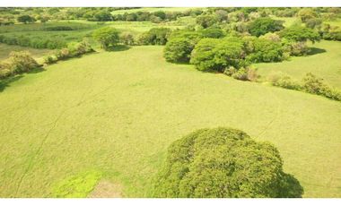 SE VENDE FINCA TITULADA IDEAL PARA GANADERA EN PARITA DE HERRERA