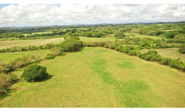SE VENDE FINCA TITULADA IDEAL PARA GANADERA EN PARITA DE HERRERA