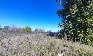 Fraccion de Campo en San Andres de Giles