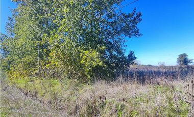 Fraccion de Campo en San Andres de Giles
