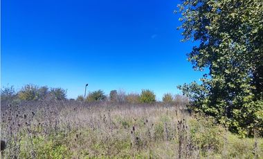 Fraccion de Campo en San Andres de Giles