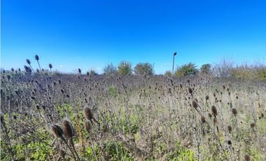 Fraccion de Campo en San Andres de Giles