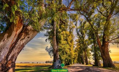 Terrenos Lote en Venta PRECIO EXCLUSIVO en Tres Pinos Villa de Campo