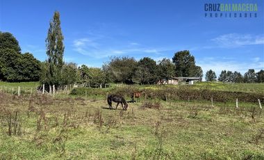 Agrícola en Venta en 12,5 hectáreas a orilla de la ruta V-60 a 4 kms del Aeropuerto y 20 minutos de Puerto Montt