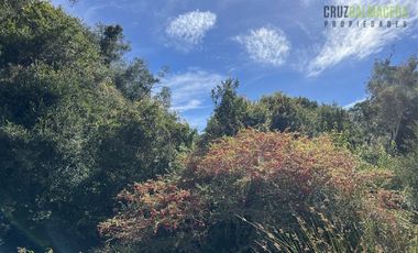 Agrícola en Venta en 12,5 hectáreas a orilla de la ruta V-60 a 4 kms del Aeropuerto y 20 minutos de Puerto Montt