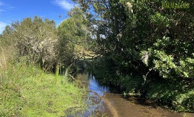 Agrícola en Venta en 12,5 hectáreas a orilla de la ruta V-60 a 4 kms del Aeropuerto y 20 minutos de Puerto Montt