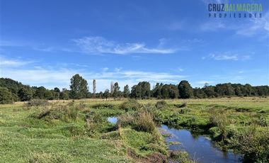 Agrícola en Venta en 12,5 hectáreas a orilla de la ruta V-60 a 4 kms del Aeropuerto y 20 minutos de Puerto Montt