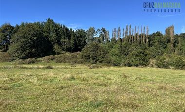 Agrícola en Venta en 12,5 hectáreas a orilla de la ruta V-60 a 4 kms del Aeropuerto y 20 minutos de Puerto Montt