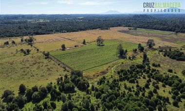 Agrícola en Venta en 12,5 hectáreas a orilla de la ruta V-60 a 4 kms del Aeropuerto y 20 minutos de Puerto Montt