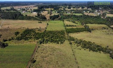 Agrícola en Venta en 12,5 hectáreas a orilla de la ruta V-60 a 4 kms del Aeropuerto y 20 minutos de Puerto Montt