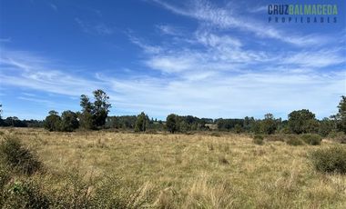 Agrícola en Venta en 12,5 hectáreas a orilla de la ruta V-60 a 4 kms del Aeropuerto y 20 minutos de Puerto Montt