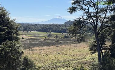 Agrícola en Venta en 12,5 hectáreas a orilla de la ruta V-60 a 4 kms del Aeropuerto y 20 minutos de Puerto Montt