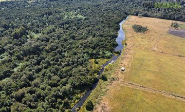 Agrícola en Venta en 12,5 hectáreas a orilla de la ruta V-60 a 4 kms del Aeropuerto y 20 minutos de Puerto Montt