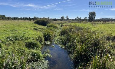 Agrícola en Venta en 12,5 hectáreas a orilla de la ruta V-60 a 4 kms del Aeropuerto y 20 minutos de Puerto Montt