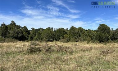 Agrícola en Venta en 12,5 hectáreas a orilla de la ruta V-60 a 4 kms del Aeropuerto y 20 minutos de Puerto Montt