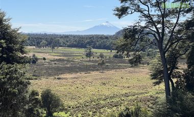 Agrícola en Venta en 12,5 hectáreas a orilla de la ruta V-60 a 4 kms del Aeropuerto y 20 minutos de Puerto Montt