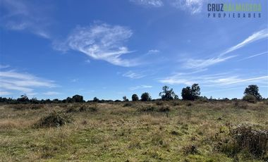 Agrícola en Venta en 12,5 hectáreas a orilla de la ruta V-60 a 4 kms del Aeropuerto y 20 minutos de Puerto Montt