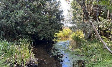 Agrícola en Venta en 12,5 hectáreas a orilla de la ruta V-60 a 4 kms del Aeropuerto y 20 minutos de Puerto Montt