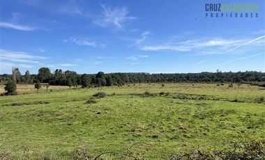 Agrícola en Venta en 12,5 hectáreas a orilla de la ruta V-60 a 4 kms del Aeropuerto y 20 minutos de Puerto Montt