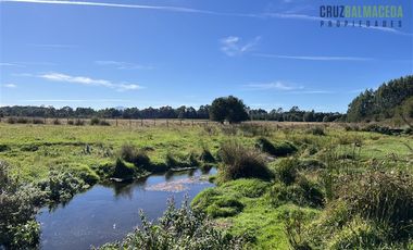 Agrícola en Venta en 12,5 hectáreas a orilla de la ruta V-60 a 4 kms del Aeropuerto y 20 minutos de Puerto Montt