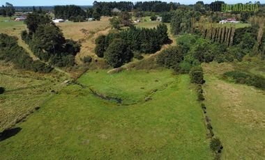 Agrícola en Venta en 12,5 hectáreas a orilla de la ruta V-60 a 4 kms del Aeropuerto y 20 minutos de Puerto Montt