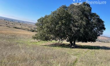 Terreno Construccion  en Venta en Parcelación Hacienda Don Bastian
