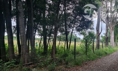 Parcela en Venta en santa paula freire