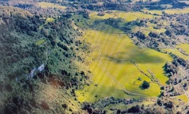 Agrícola en Venta en Ruta Internacional 215
