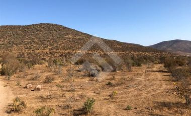 Parcela en Venta en EL PEÑON