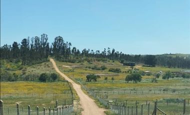 Parcela en Venta en Potrero el Sauce