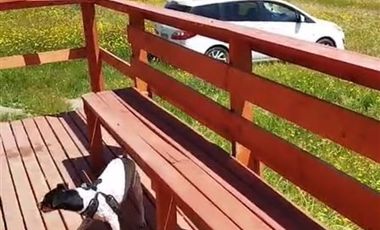 Parcela en Venta en Potrero el Sauce