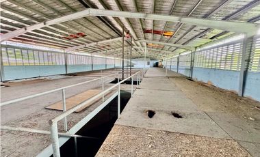 VENTA GALERA EN RIO ABAJO (EC)