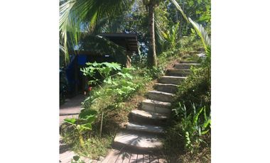 VENTA ISLA PRIVADA ISLA COLON BOCAS DEL TORO